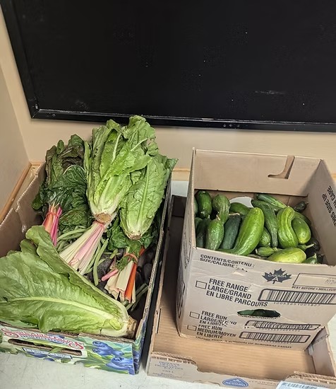 PXL_20240819_162324550 (2).jpg